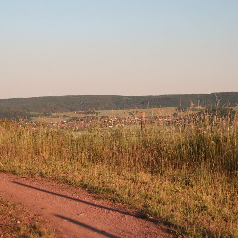 Impressionen vom Yoga Wohlfühl Wanderpfad